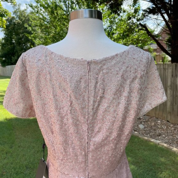 Adrianna Papell Ombre Sequin Column Gown Blush Ombre Short Sleeve V-Neck Size 10 - Picture 10 of 16